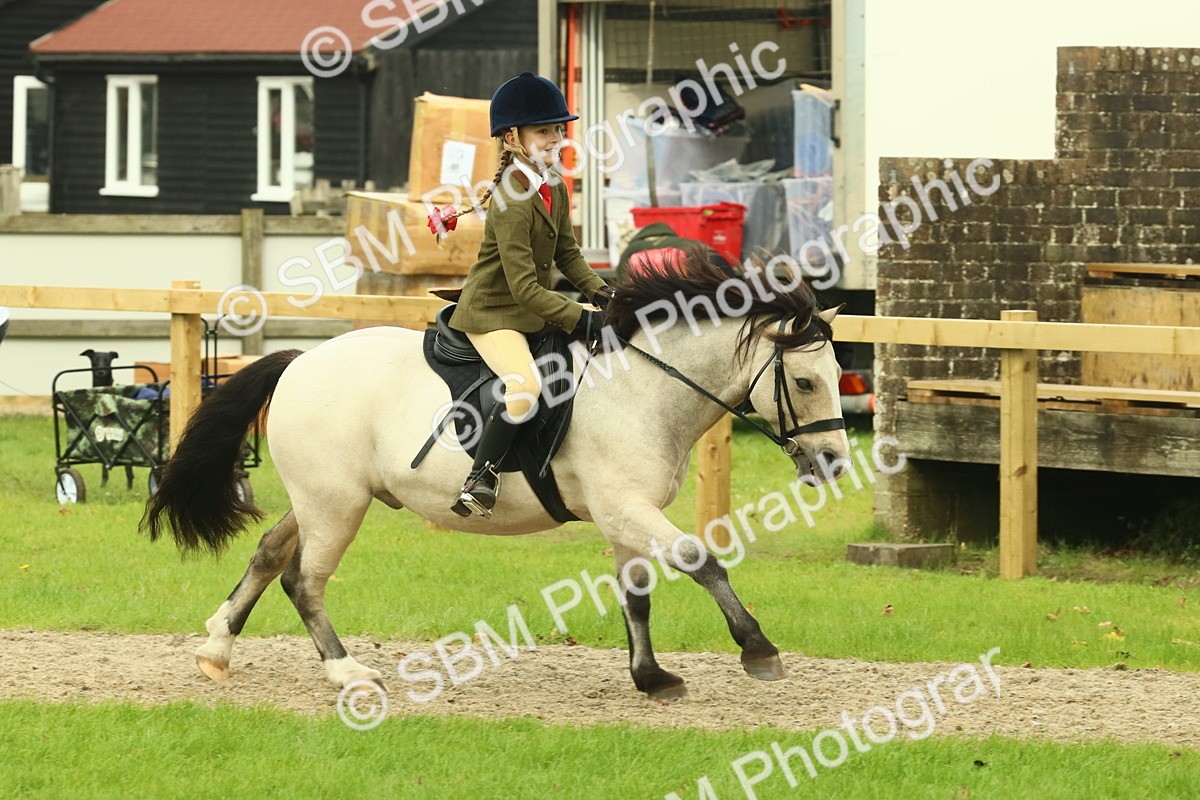 SBM_69950 - S59 - Mountain & Moorland Ridden Small Breeds