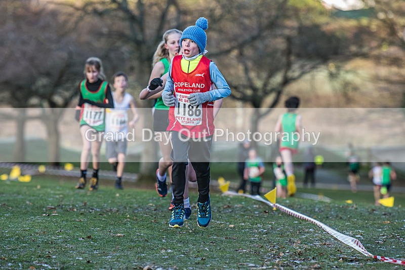 Cumbria XC-212 - Cumbria Cross Country Championships (Junior & Senior Races) Saturday 3rd January 2026