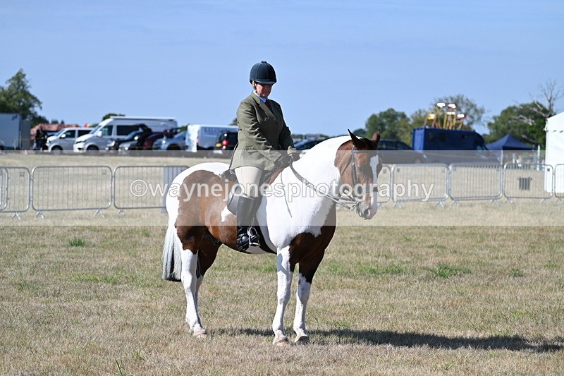 WJ7_3177 - Class 8 Ridden Tack & Turnout