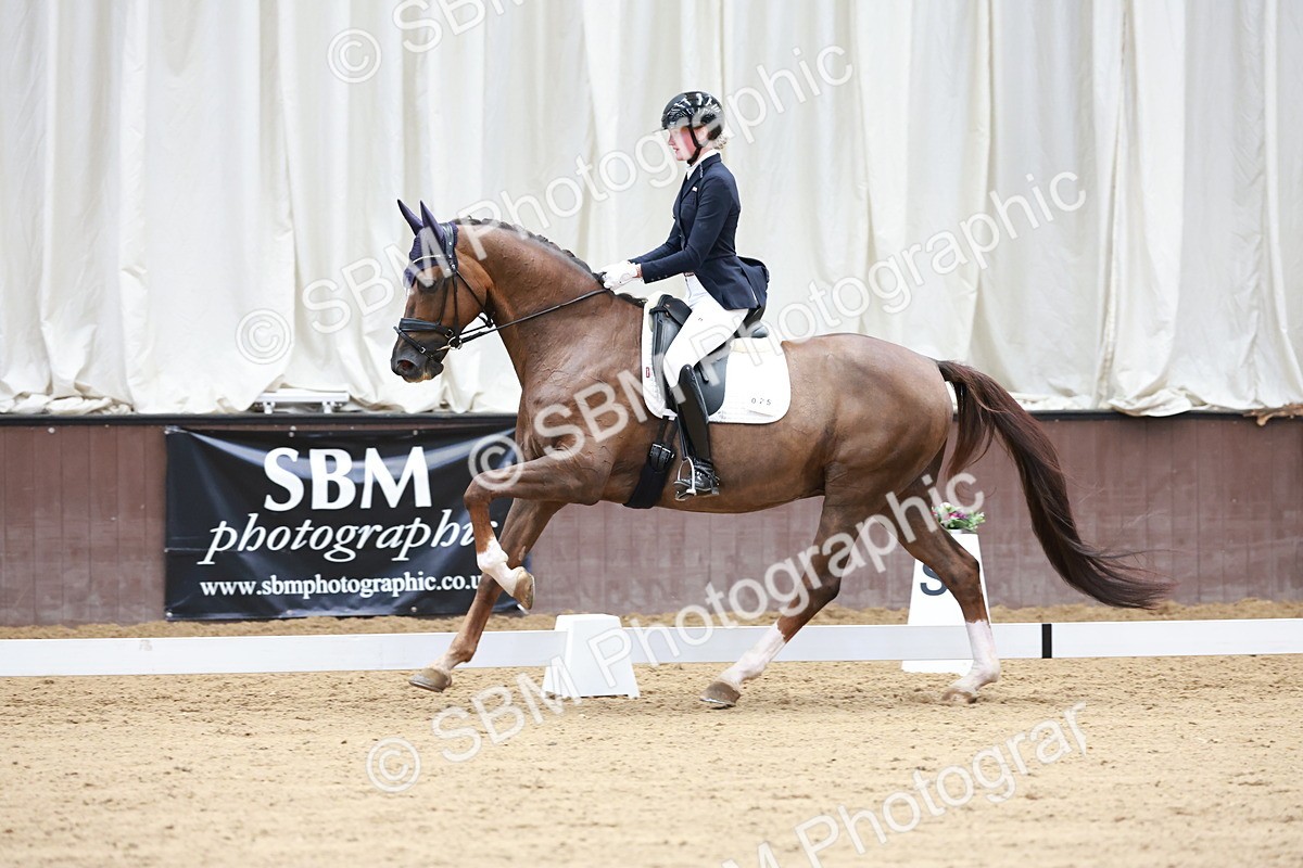 SBM_017724 - Class 15 - FEI Junior