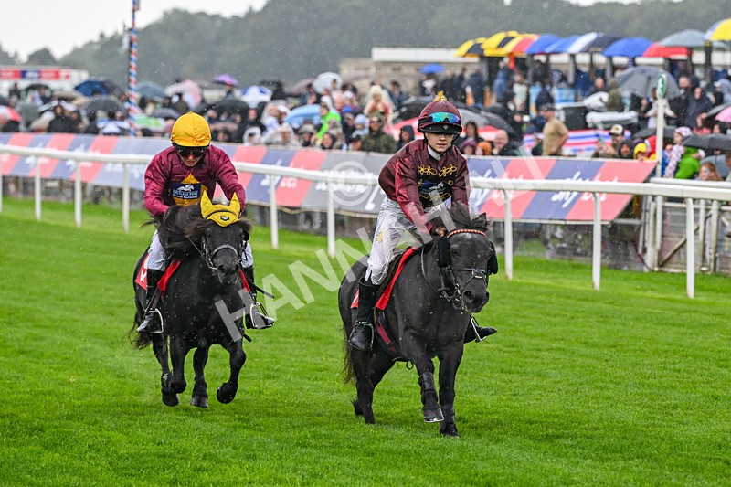 060926-Shetland Pony Race-Claredale Edward-6061 - Shetland Pony Racing 12.30pm