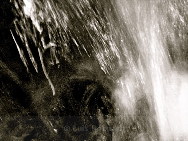  - Water Wood Earth