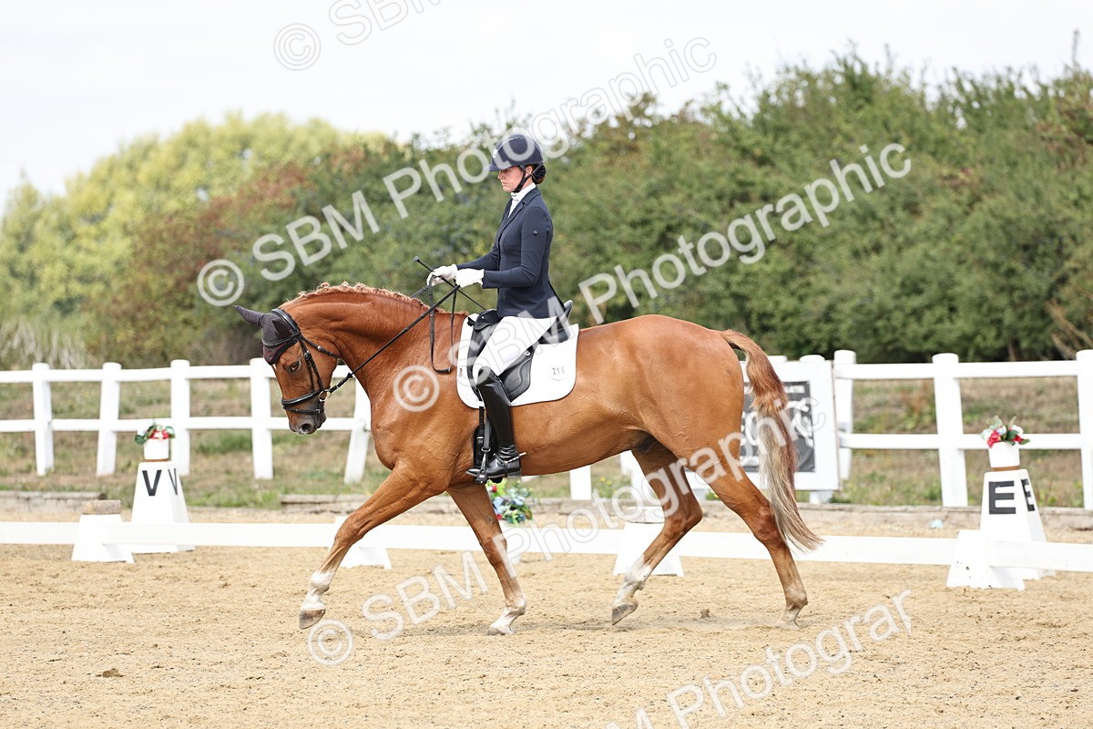 SBM_018350 - Class 16 - Novice 5 - 11.12-12.01