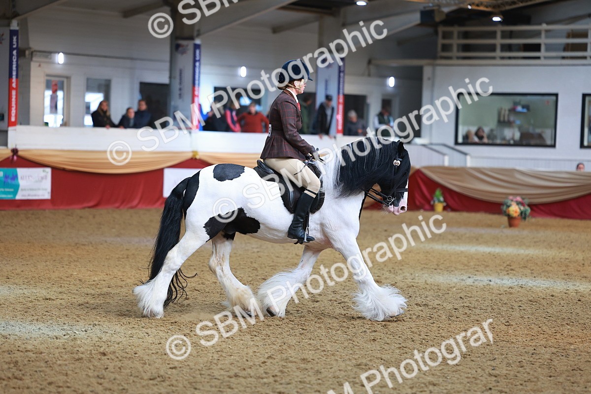 SBM_09750 - Class 102 - HOYS Veteran Qualifier - Ridden Veteran