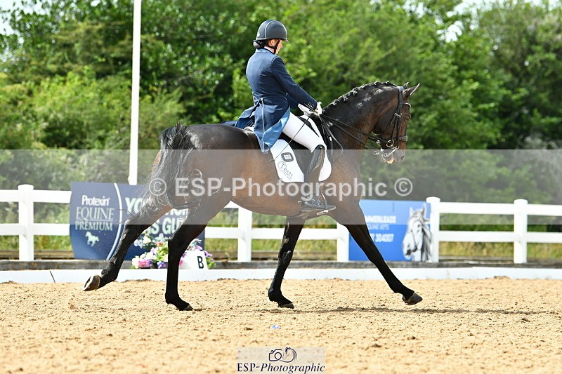 230702A-161925-11168 - Cls 37 + 42 FEI PSG + GP