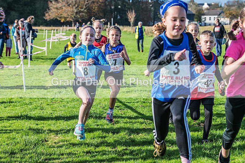 Cumbria XC-13 - Cumbria XC League Workington Saturday 26th October 2024