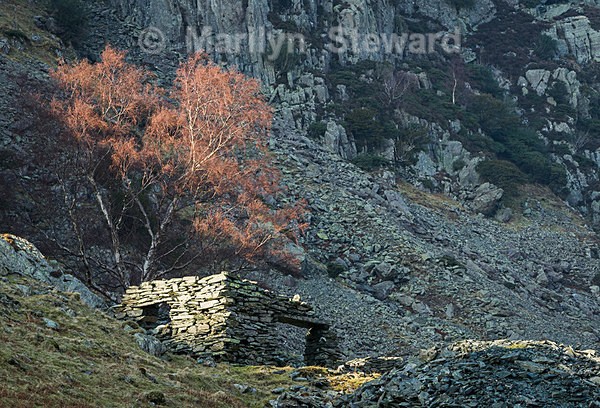 Abandoned bothy - Exhibition acceptances