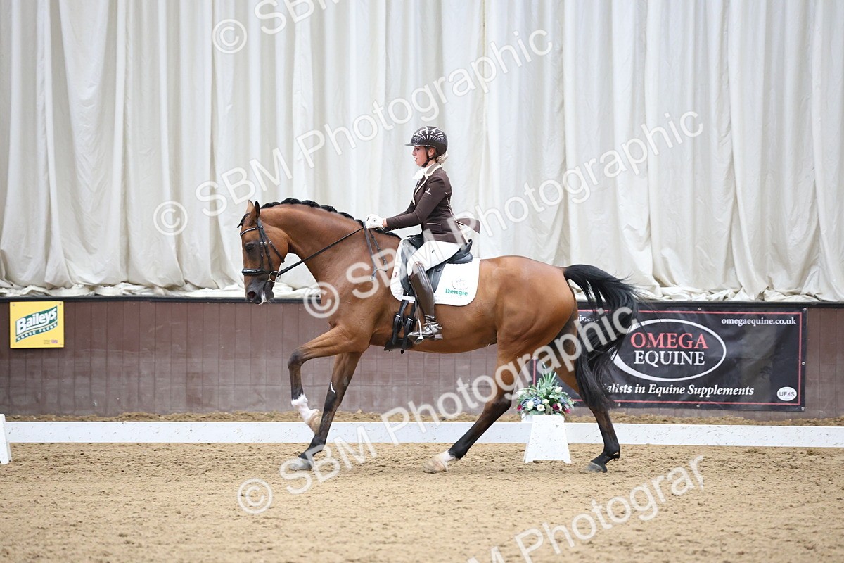 SBM_003429 - Class 5 - Novice 6 Gold - 13.05-14.00