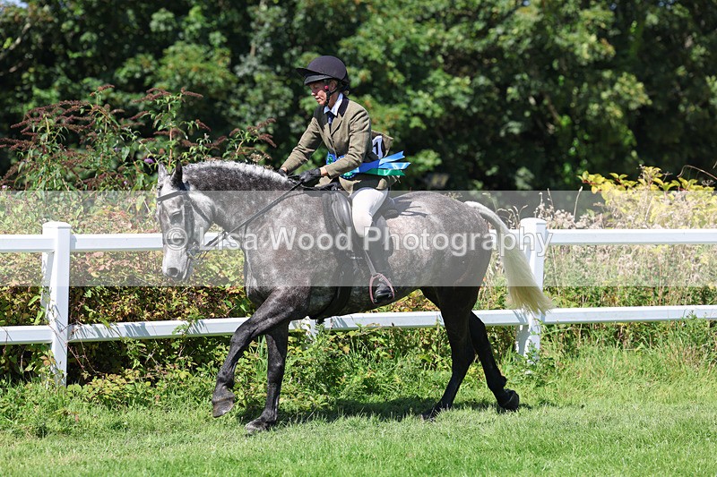 3E7A9245 - Working Hunter Championship