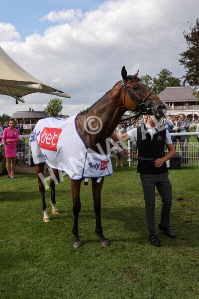 yr20082022r3-42 - Race 3 3.00pm Sky Bet City of York Stakes