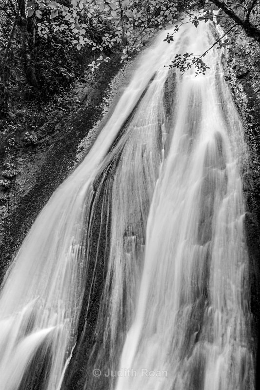 Wahclella Falls Trail - Pacific Northwest