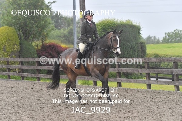 JAC_9929 - CLASS 3 Intermediate Working Hunter (0.70m - 0.85m)