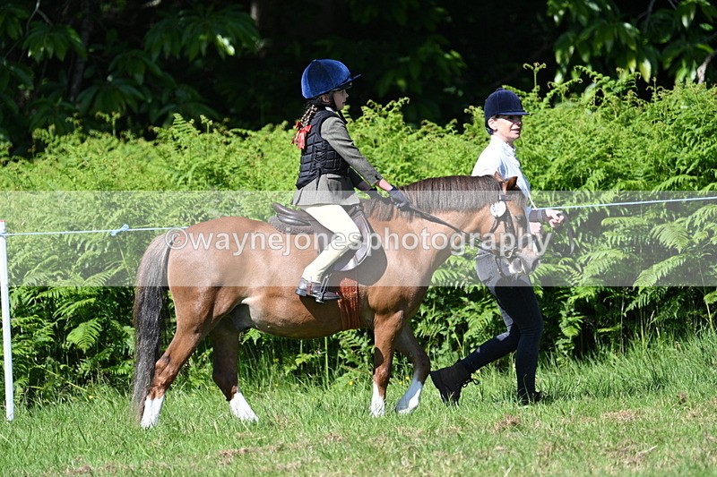 WJ7_0689 - Class 8 First Rally Pony