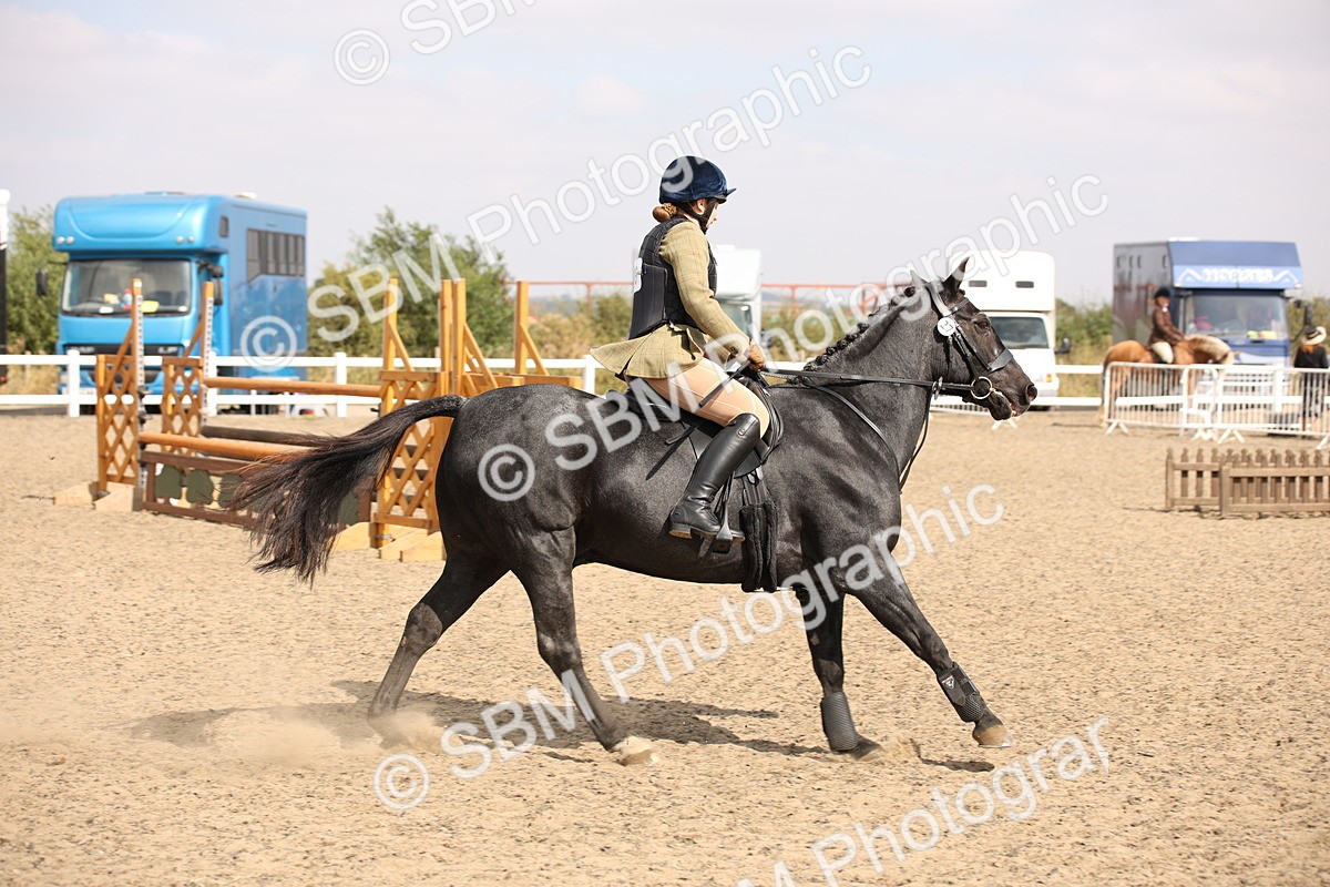 SBM_14324 - Class 407b - Working Veteran 60cm (20+)