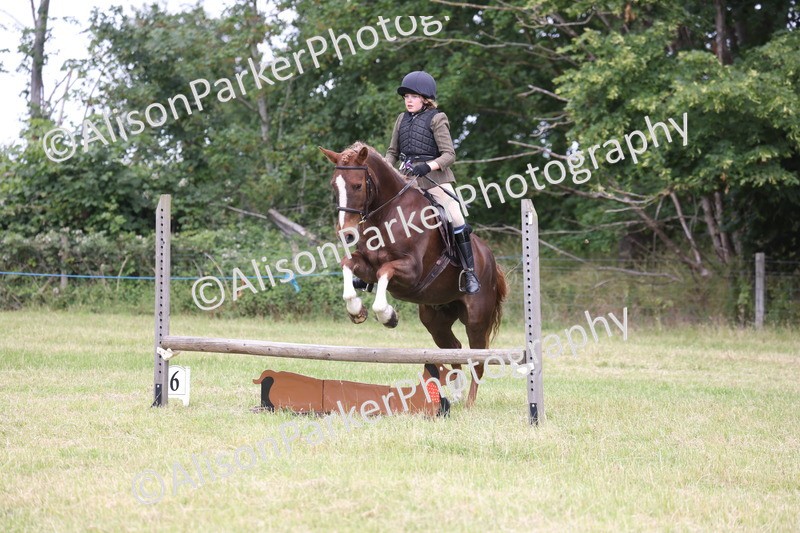 20260614-2735 - Class 22 - Open Working Hunter