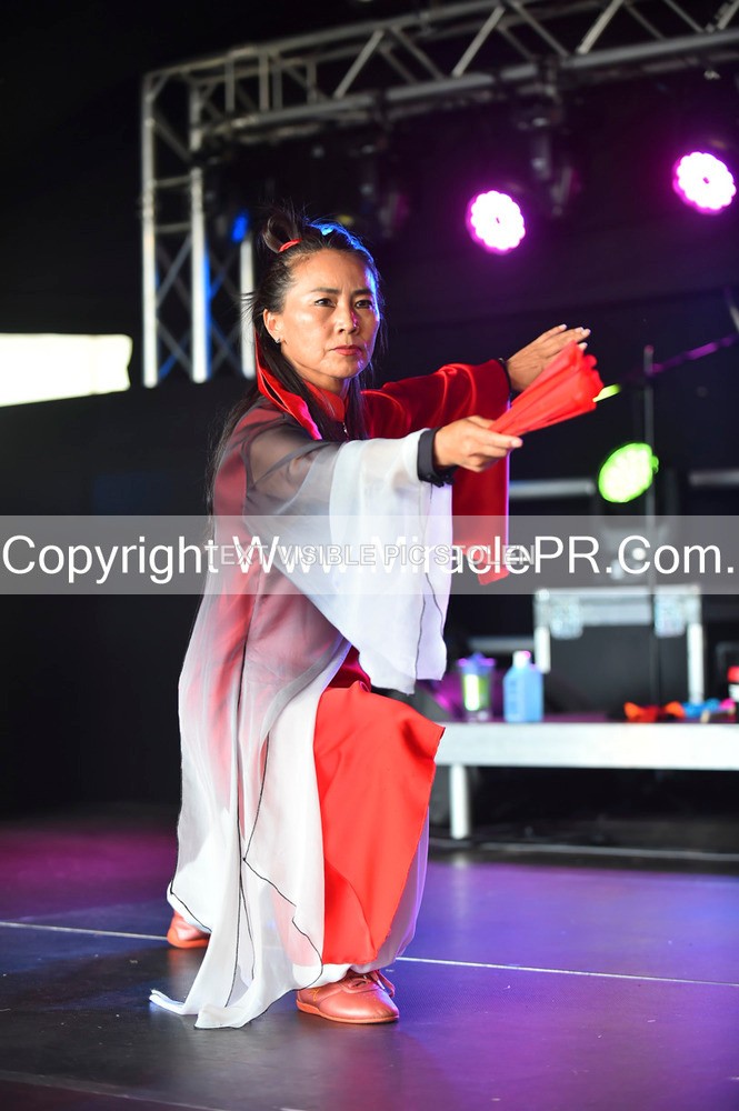 SH4_1645 - Tai Chi with Lisa Kay.