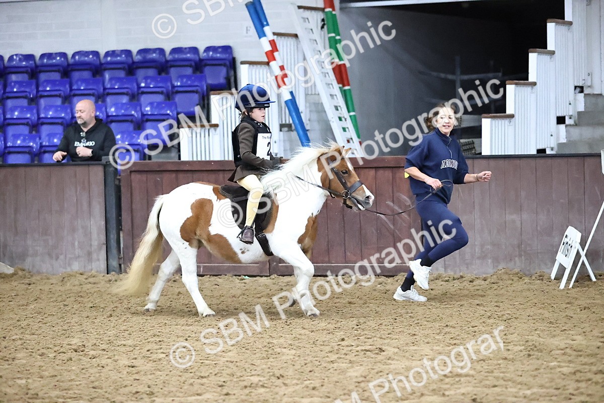 SBM_000029 - Class 1 - Fox Farriers 30cm
