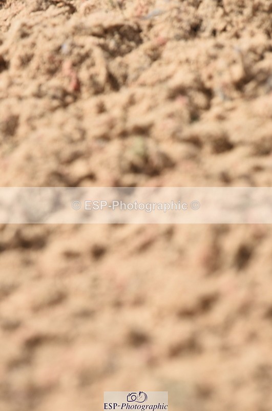 230915A-132412-00497 - Cls 11 Snr Discovery & 1m Open