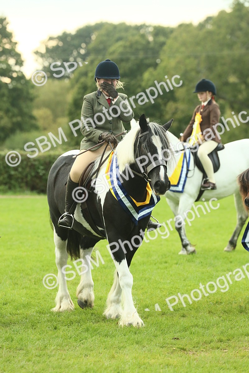 SBM_75275 - Super Supreme Championship