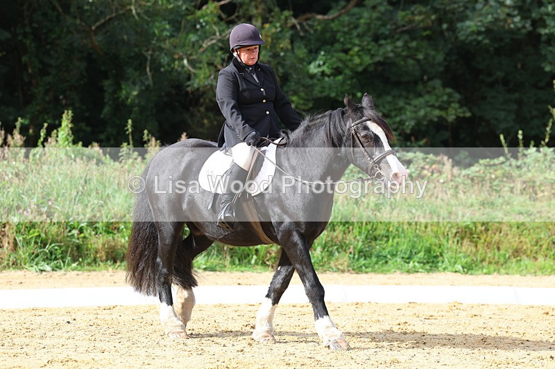 3E7A2328 - Class 1: Intro 4 2024 section A