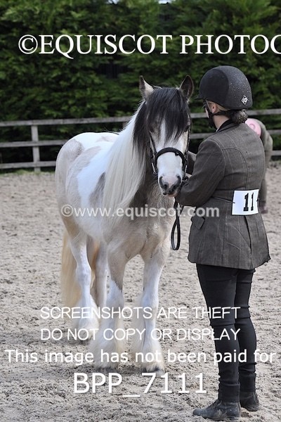 BPP_7111 - RING 1  (RIDDEN HORSES / IN HAND / VETERAN ETC)