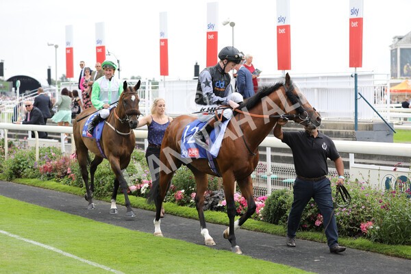 yr23072022r2-10 - Race 2 2.40pm Sky Bet Dash