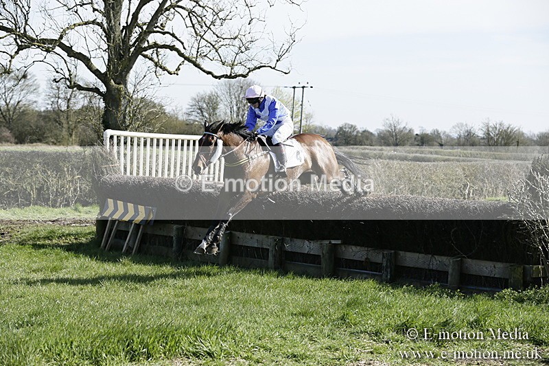 PtP 250317 41 - V.W.H. Hunt Point-to-Point Siddington 25/03/17