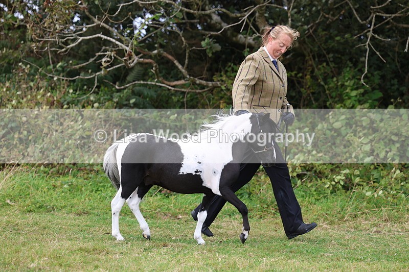 3E7A4107 - Class 15: Two Year Olds