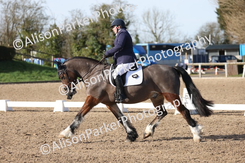 20260214-0573 - Class 5 - Novice 3