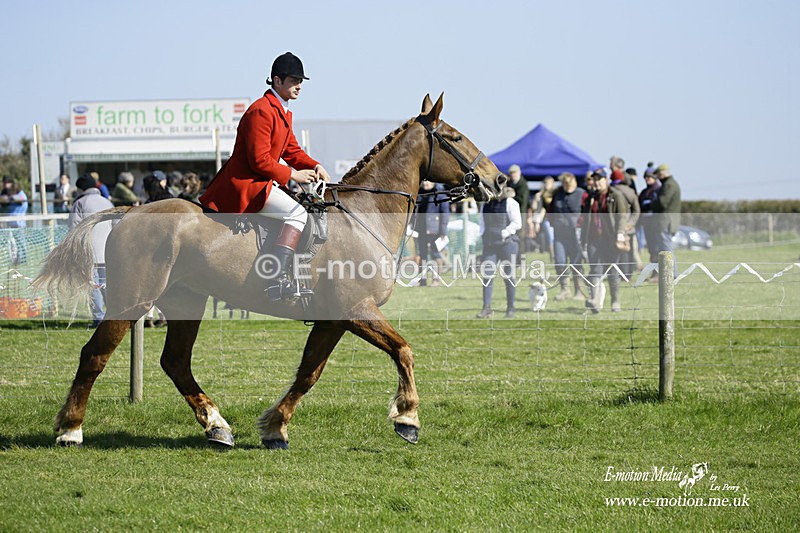 PtP 190322 275 - Wilton Hunt PtP Milborne St Andrew 19/03/22