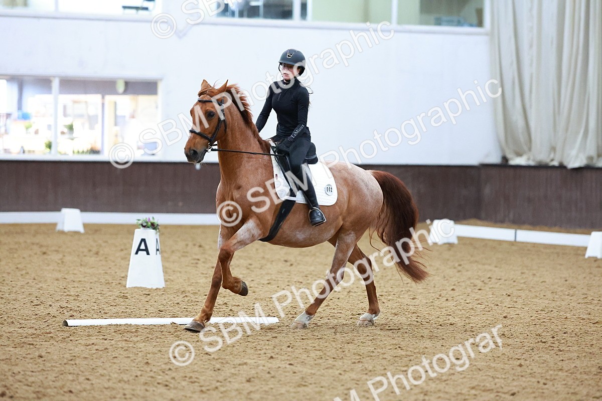 1I0A0955 - Class 3-6 - Prelim 1-Novice 2