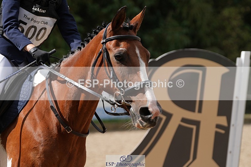 250822A-114140-21185 - WC Round 2 11.10 to 12.20