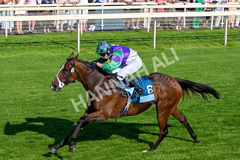 100726-Race 7-Green Sky-0492 - Race 7 17.40pm William Hill Best Odds Guaranteed Apprentice Handicap