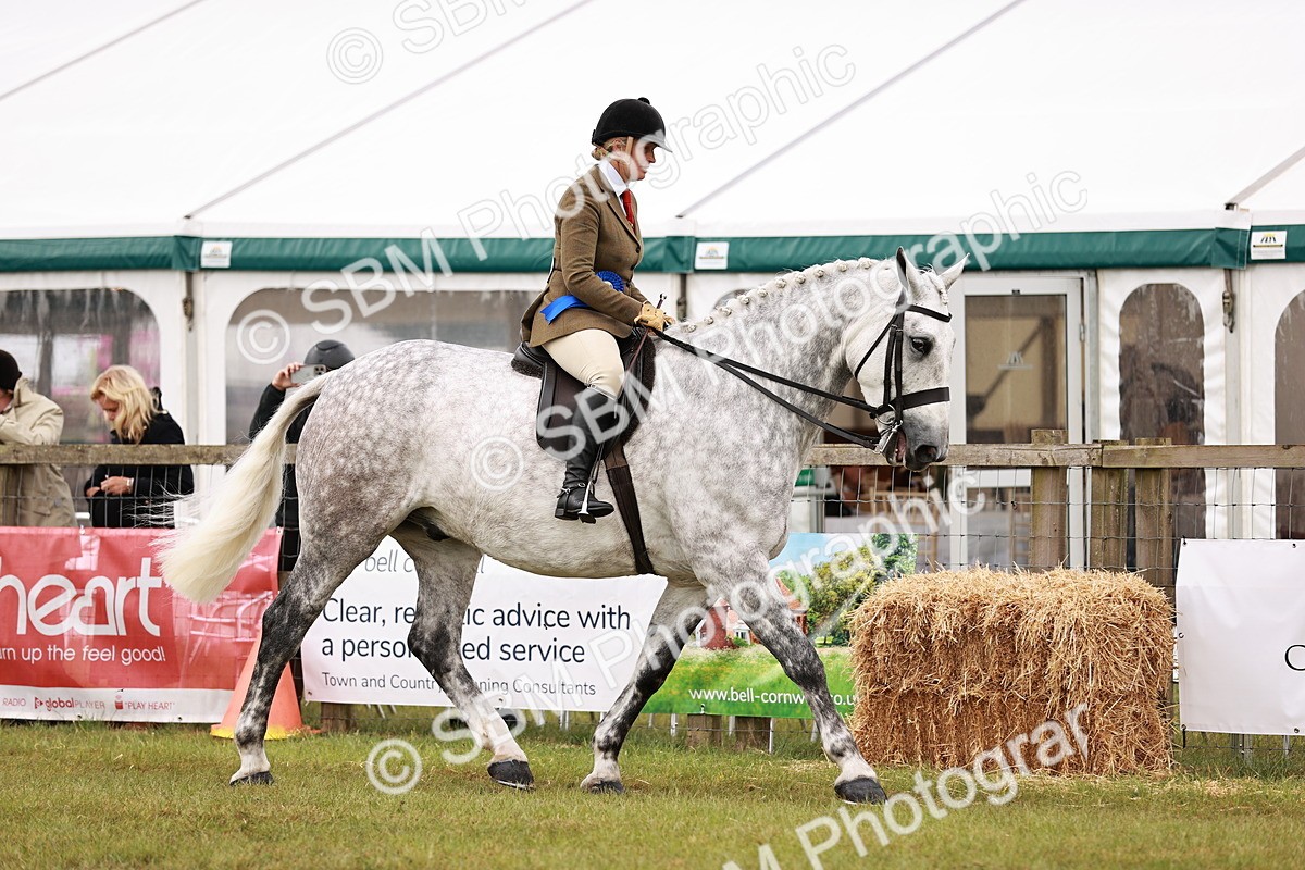 SBM_11537 - Class 81-84 - RIHS Ridden hunters Inc Ladies Hunter