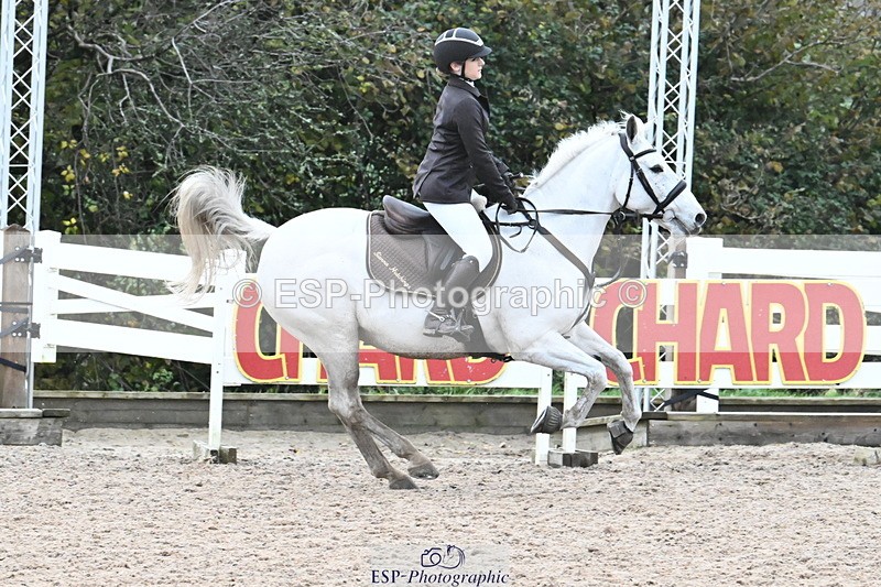 231118A-130718-02060 - Cls 6 BlueChip Pony Sapphire Qualifier