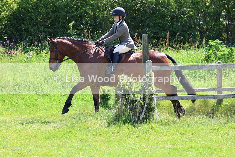 3E7A6965 - Class 30: Novice Working Hunter