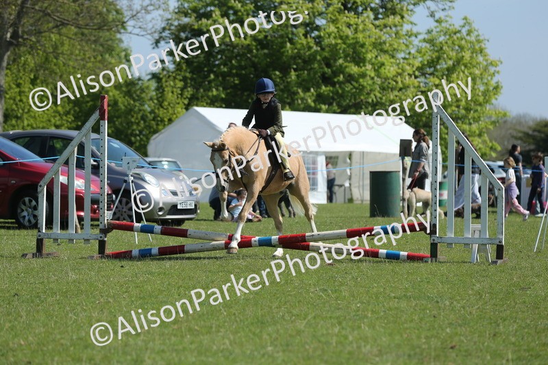 20250427-1954 - Class 2 - Mini Jumping 30cm