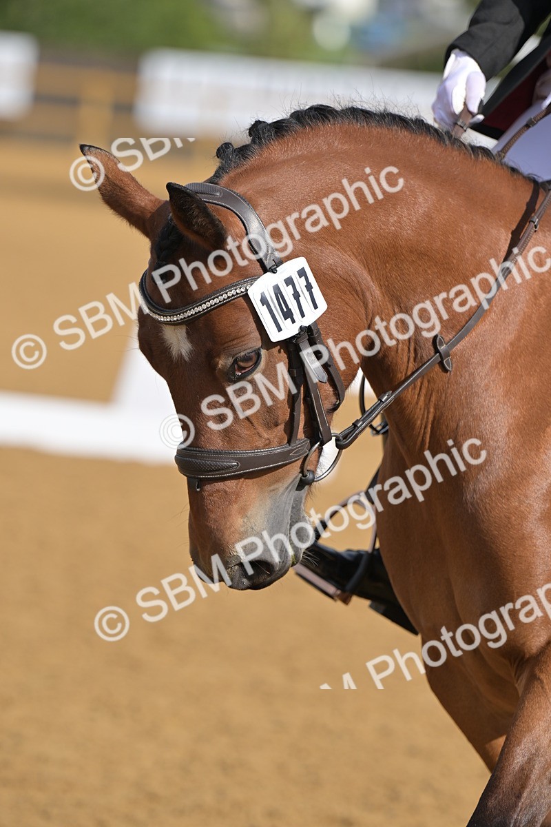 SBM_03675 - D2 - Small Tour Championship Intro 2