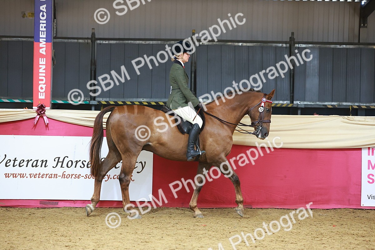 SBM_09581 - Class 102 - HOYS Veteran Qualifier - Ridden Veteran
