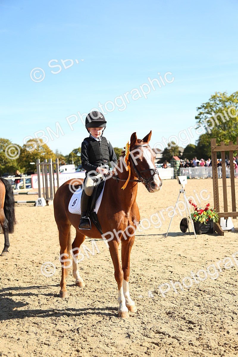 SBM_36045 - J5 - Junior Pony 50cm Championship