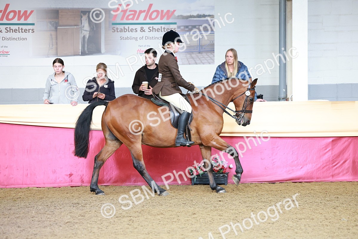 SBM_11865 - Class 102 - Equitation (Best Rider) Adult