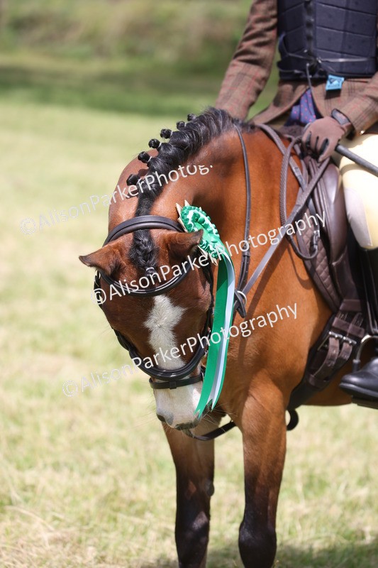 20260614-2147 - Class 21 - Novice Working Hunter Pony