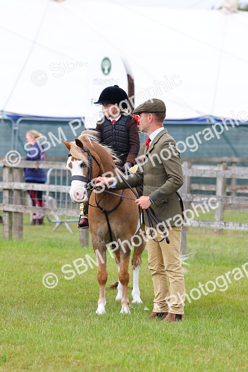 SBM_08170 - Class 42-43 - LIHS BSPS Heritage Working Sports Pony