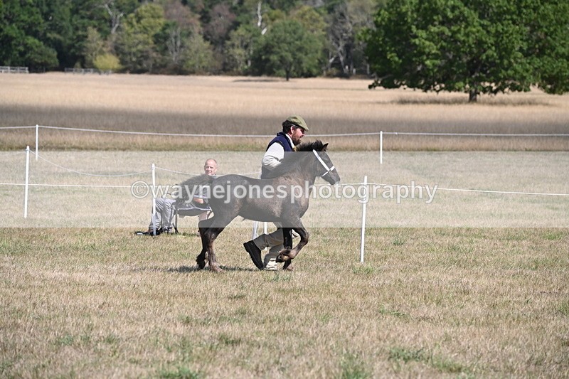 WJ6_5142 - Class 17 Mountain & Moorland