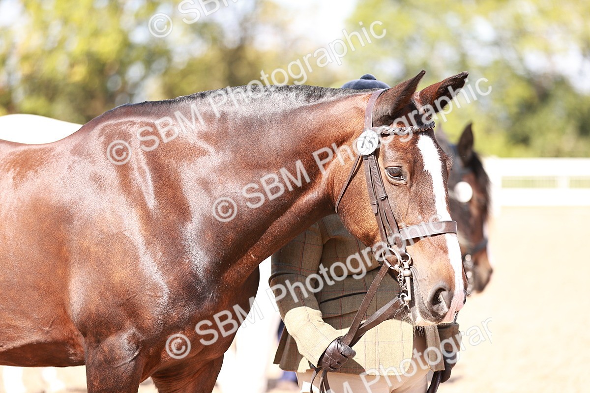 SBM_22996 - Class 707 - IH groom Helpers Class