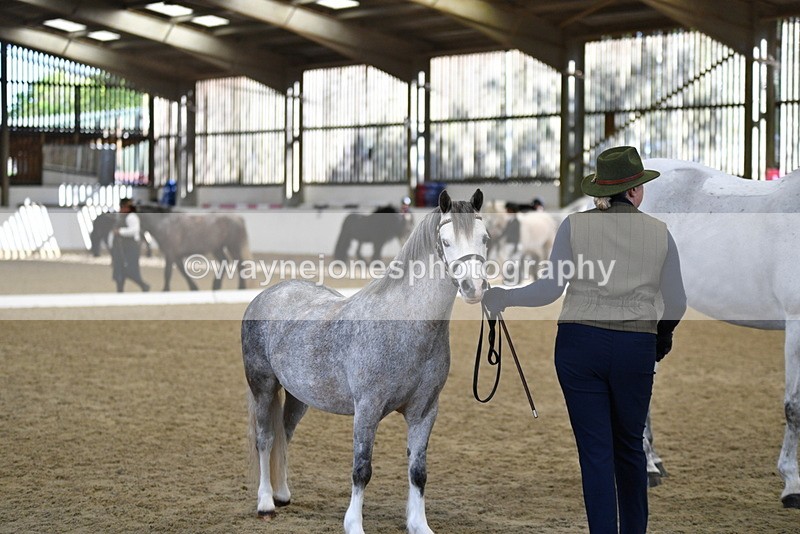 WJ5_4069 - Class 2 Best Condition In hand