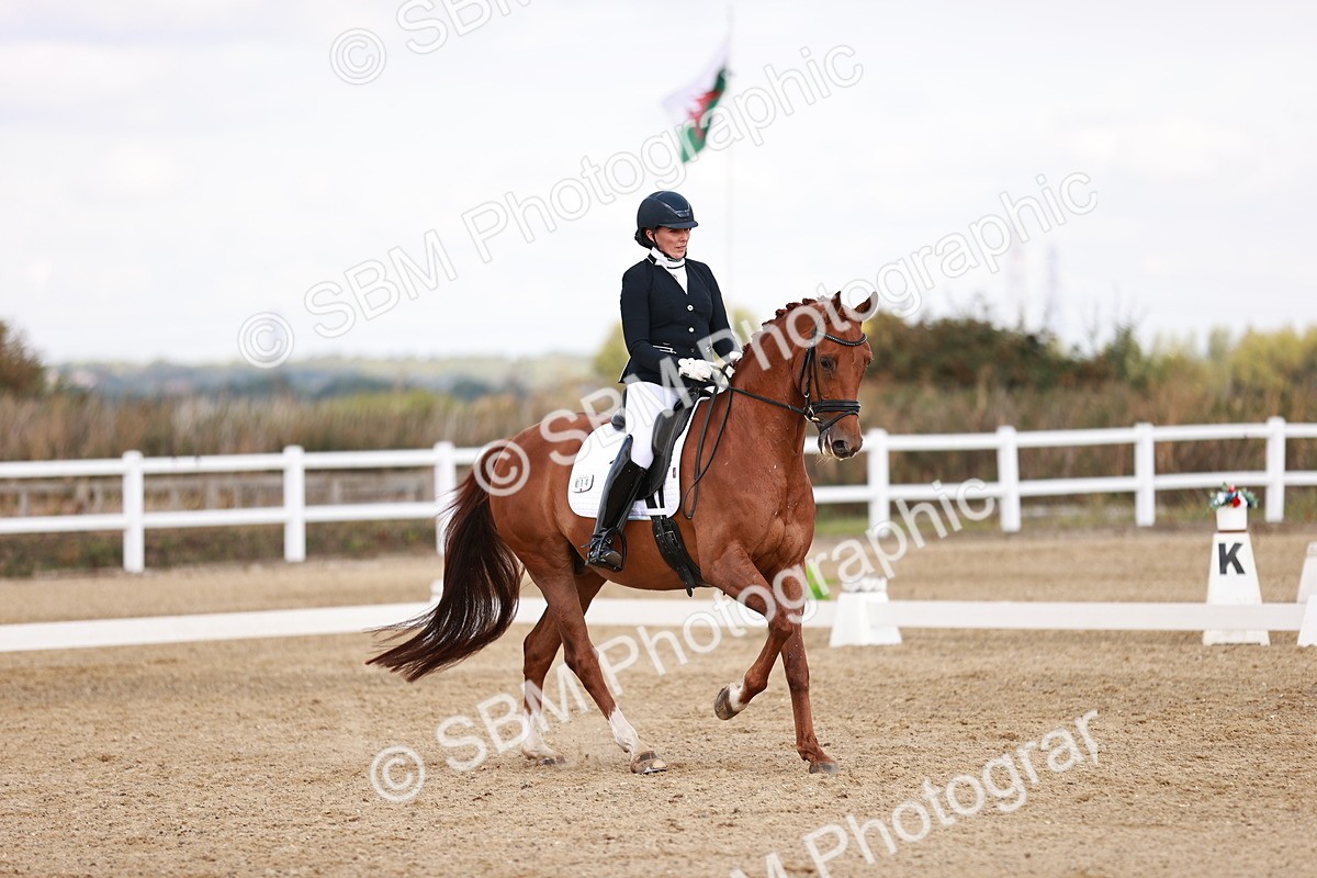 SBM_017669 - Class 11 - Advanced Medium 6