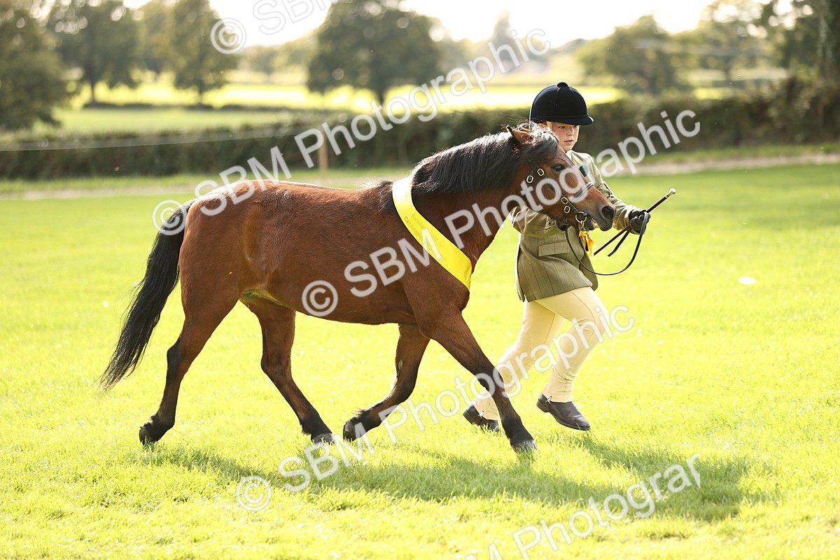 SBM_26303 - S5 - Novice & Newcomers In Hand