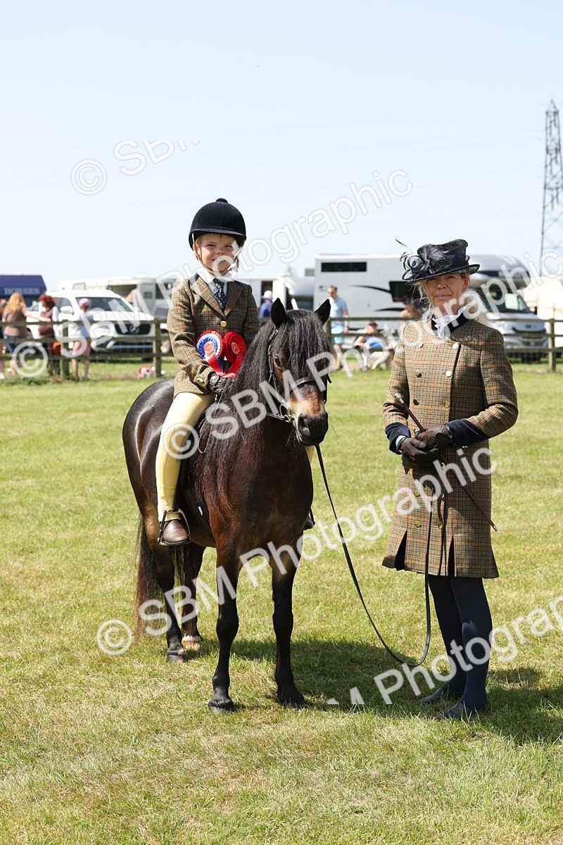 SBM_05417 - Class 24-25 - Mountain & Moorland In Hand Lead Rein and First Ridden