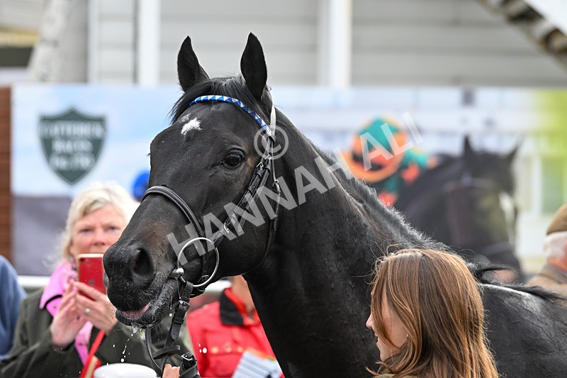 021024-Race 2-Al Hussar-9219 - Race 2